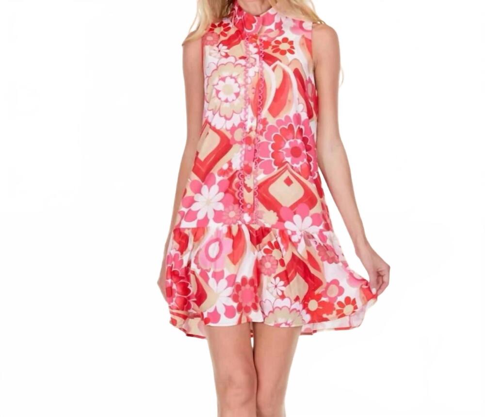 NEW JOY JOY the colette zinnias dress in pink